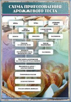 Стенд "Схема приготовления дрожжевого теста" - fgospostavki.ru - Тамбов