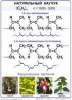 Комплект демонстрационных таблиц по химии "Полимеры" (комплект 12 таблиц) - fgospostavki.ru - Тамбов