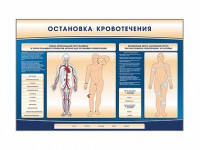 Электрифицированный стенд-тренажер "Остановка кровотечения" - fgospostavki.ru - Тамбов