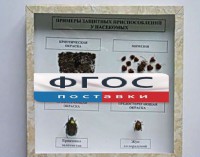 Коллекция энтомологическая "Примеры защитных приспособлений у насекомых" - fgospostavki.ru - Тамбов