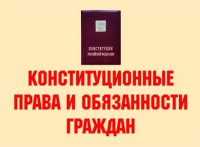 Комплект плакатов "Конституционные права и обязанности граждан" - fgospostavki.ru - Тамбов