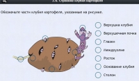 Интерактивные курсы. Биология 6 класс. Расширенный - fgospostavki.ru - Тамбов