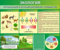 Стенд "Экология. Организация и функционирование сообществ" - fgospostavki.ru - Тамбов