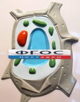 Модель барельефная "Растительная клетка" - fgospostavki.ru - Тамбов