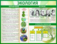 Стенд "Экология" - fgospostavki.ru - Тамбов