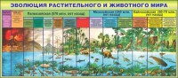 Стенд "Эволюция растительного и животного мира" - fgospostavki.ru - Тамбов