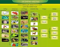 Стенд "Систематика животных" - fgospostavki.ru - Тамбов