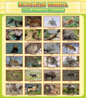Стенд "Красная книга - млекопитающие" - fgospostavki.ru - Тамбов