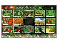 Комплект оборудования "Живой уголок" (растения) - fgospostavki.ru - Тамбов