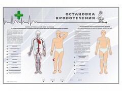 Электрифицированный стенд "Остановка кровотечения" - fgospostavki.ru - Тамбов