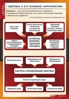 Комплект таблиц. ОБЖ. Здоровый образ жизни. - fgospostavki.ru - Тамбов