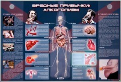 Электрифицированный стенд "Вредные привычки: алкоголизм" - fgospostavki.ru - Тамбов