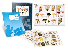 Комплект кодотранспарантов "Грибы" - fgospostavki.ru - Тамбов