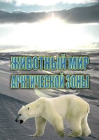 DVD "Животный мир Арктической зоны" - fgospostavki.ru - Тамбов