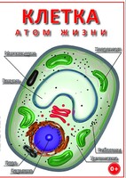 DVD "Клетка - "атом жизни" - fgospostavki.ru - Тамбов