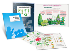Комплект кодотранспарантов "Культурные растения" - fgospostavki.ru - Тамбов