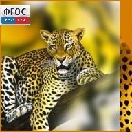 Зоология. (Цифровая база изображений) - fgospostavki.ru - Тамбов