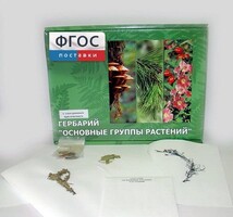 Гербарий "Основные группы растений" (52 листа) - fgospostavki.ru - Тамбов