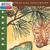 Ботаника. Микрофотографии. (Цифровая база изображений) - fgospostavki.ru - Тамбов