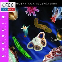 Биология. Микрофотографии. (Цифровая база изображений) - fgospostavki.ru - Тамбов