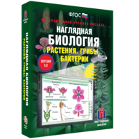 Наглядная биология. 6 класс. Растения. Грибы. Бактерии - fgospostavki.ru - Тамбов