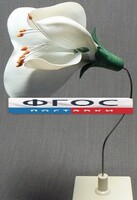 Модель "Цветок гороха" - fgospostavki.ru - Тамбов