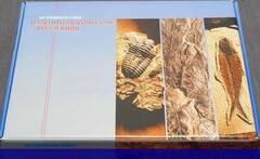 Коллекция "Палеонтологическая" (16 образцов) - fgospostavki.ru - Тамбов
