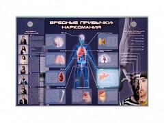 Электрифицированный стенд "Вредные привычки: наркомания" - fgospostavki.ru - Тамбов