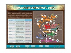Интерактивный электрифицированный стенд "Эволюция животного мира" - fgospostavki.ru - Тамбов