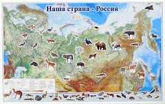 Магнитные карточки "Животные" - fgospostavki.ru - Тамбов