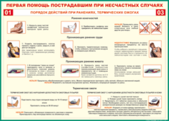 Таблица "Порядок действий при ранениях и термических ожогах" (100х140 сантиметров, винил) - fgospostavki.ru - Тамбов
