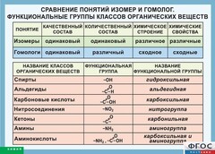 Таблица. Сравнение понятий изомер и гомолог. Функциональные группы классов органических веществ. - fgospostavki.ru - Тамбов