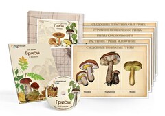 Комбинированное наглядное пособие  «Грибы» - fgospostavki.ru - Тамбов