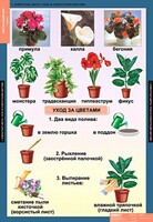 Комплект таблиц. Окружающий мир 1 класс. - fgospostavki.ru - Тамбов