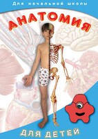 DVD "Анатомия для детей" - fgospostavki.ru - Тамбов