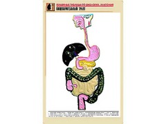 Рельефная таблица "Пищеварительный тракт" (формат А1, матовое ламинирование) - fgospostavki.ru - Тамбов