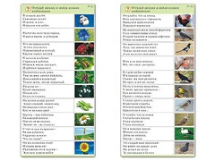 Комплект карточек (10) "Обучающий калейдоскоп. Природа" - fgospostavki.ru - Тамбов
