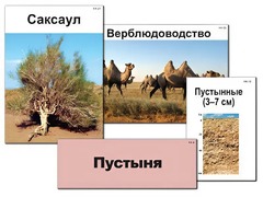 Модель-аппликация "Природные зоны России" (ламинированная) - fgospostavki.ru - Тамбов