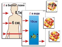 Модель-аппликация "Явление радиоактивности" (ламинированная) - fgospostavki.ru - Тамбов