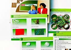 Коллекция "Шелк и продукты его переработки" (средняя школа) - fgospostavki.ru - Тамбов
