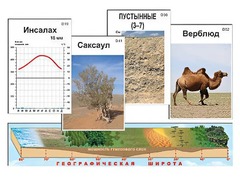 Модель-аппликация "Природные зоны" - fgospostavki.ru - Тамбов