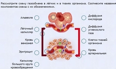 Интерактивные курсы. Биология 9 класс. Расширенный. - fgospostavki.ru - Тамбов