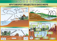 Таблица "Круговорот веществ в биосфере" (100х140 сантиметров, винил) - fgospostavki.ru - Тамбов