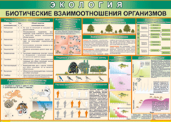 Таблица "Биотические взаимоотношения организмов" (100х140 сантиметров, винил) - fgospostavki.ru - Тамбов