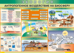 Таблица "Антропогенное воздействие на биосферу" (100х140 сантиметров, винил) - fgospostavki.ru - Тамбов