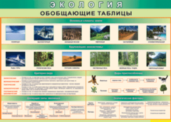 Таблица "Экология. Обобщающие таблицы" (100х140 сантиметров, винил) - fgospostavki.ru - Тамбов