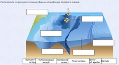 Интерактивные курсы. География 7 класс . Базовый. - fgospostavki.ru - Тамбов