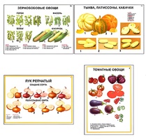 Плакаты ПРОФТЕХ "Ассортимент овощных культур" (12 пл, винил, 70х100) - fgospostavki.ru - Тамбов