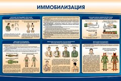 Стенд "Иммобилизация" - fgospostavki.ru - Тамбов