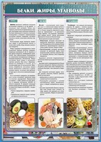 Стенд "Белки. Жиры. Углеводы" - fgospostavki.ru - Тамбов